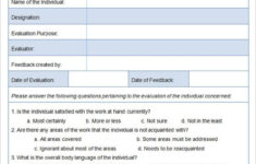 11 Sample HR Evaluation Forms Examples Word PDF PSD