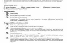 90 Day Performance Review Template In 2020 Evaluation