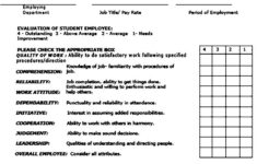 Employee Evaluation Form