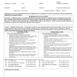 EMPLOYEE EVALUATION FORM In Word And Pdf Formats