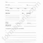 Fillable Custody Evaluation Questionnaire Template