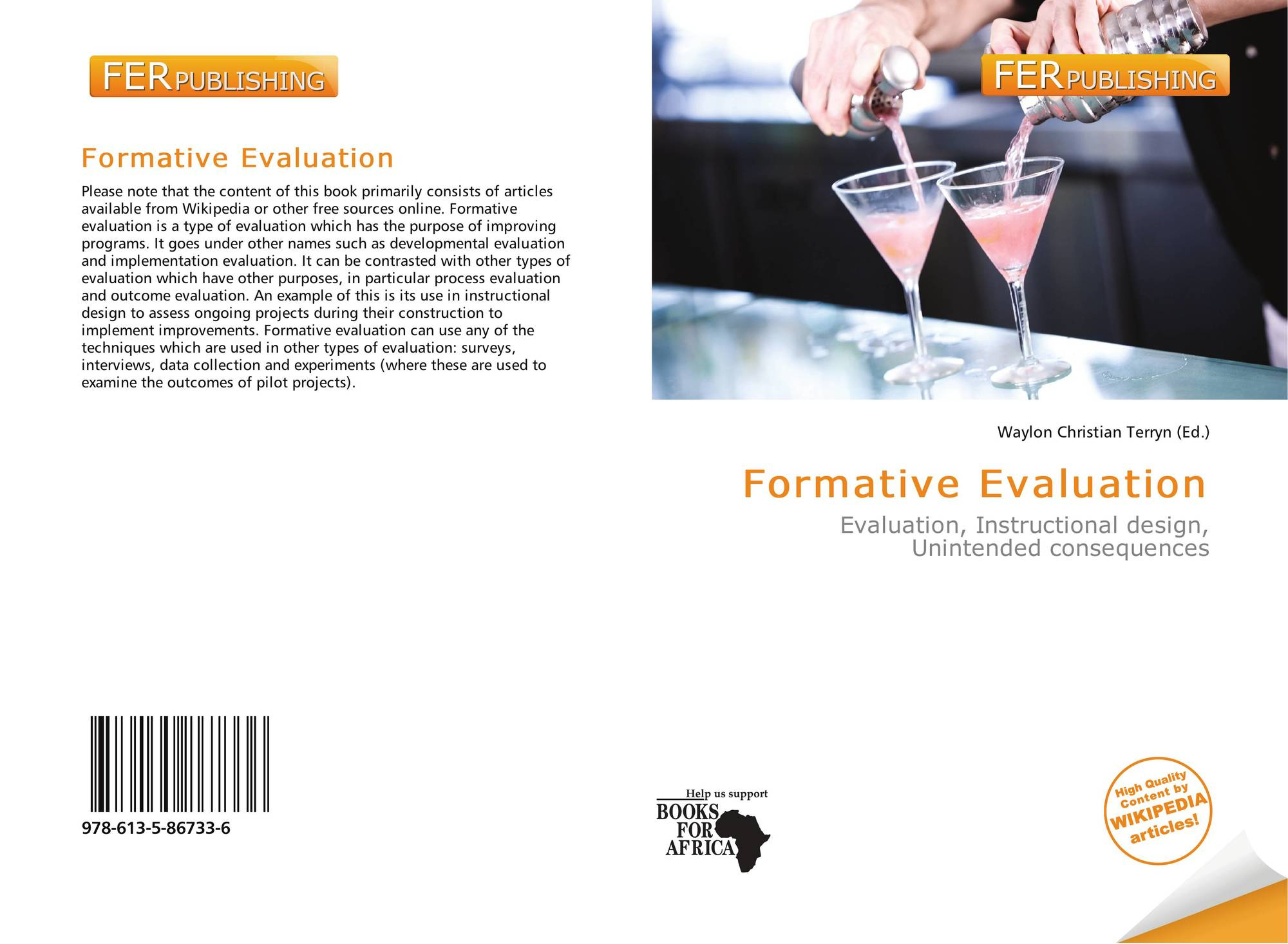 Formative Evaluation 978 613 5 86733 6 6135867334 