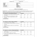 FREE 10 Sample Employee Performance Review Forms In MS