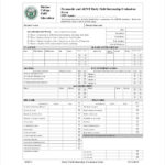 FREE 18 Sample Student Evaluation Forms In PDF MS Word
