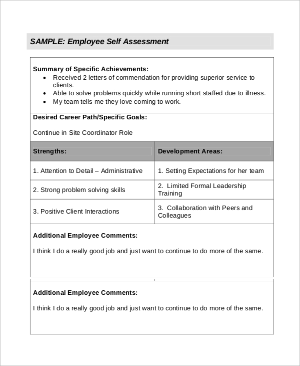 FREE 19 Sample Assessment Templates In PDF MS Word Excel