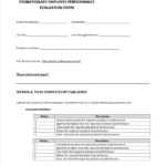 FREE 41 Sample Employee Evaluation Forms In PDF