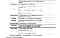 General Performance Evaluation Form Drivers
