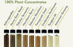 Herbal T Male Performance Formula Review herbalt Pink