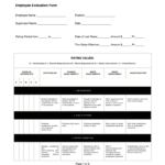 Home Health Care Employee Evaluation Form 2020 Fill And