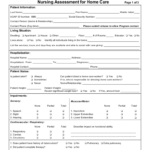Nurse Evaluation Form 1 Free Templates In PDF Word