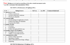 Performance Appraisal Form