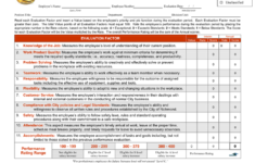 PERFORMANCE EVALUATION SYSTEM In Word And Pdf Formats