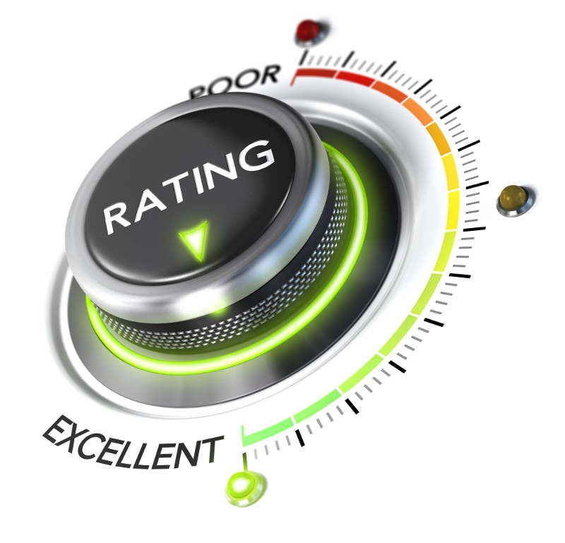 Performance Rating Scales Should They Stay Or Should They Go 