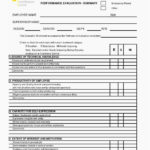 Performance Review Feedback Template Performance Review