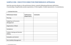 Sample Two Executive Director Performance Appraisal