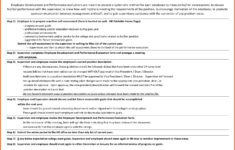 Self Performance Review Goals Examples