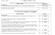 Supervisor Evaluation Form Download Printable PDF