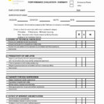 Supervisor Evaluation Form Template Lovely Performance