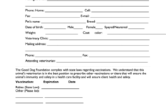 Top Veterinary Medical Evaluation Form Templates Free To